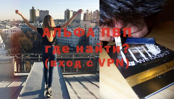 гашик Верея