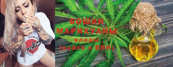 гашик Верея