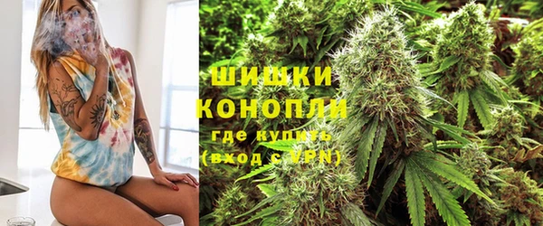 стаф Верхний Тагил