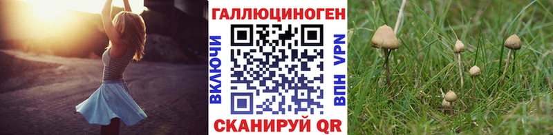 Купить закладки  Кропоткин  Псилоцибиновые грибы Magic Shrooms 