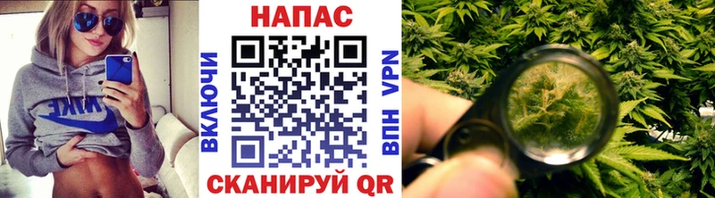 Купить закладки  Кропоткин  Бошки Шишки Ganja 